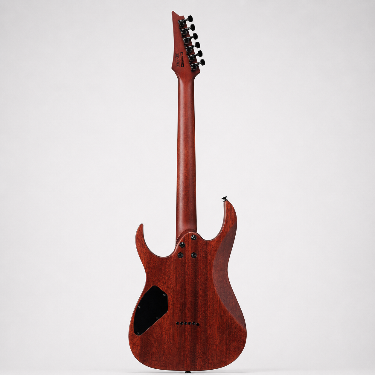 Ibanez GRG121-PAR Electric Guitar - Rear View