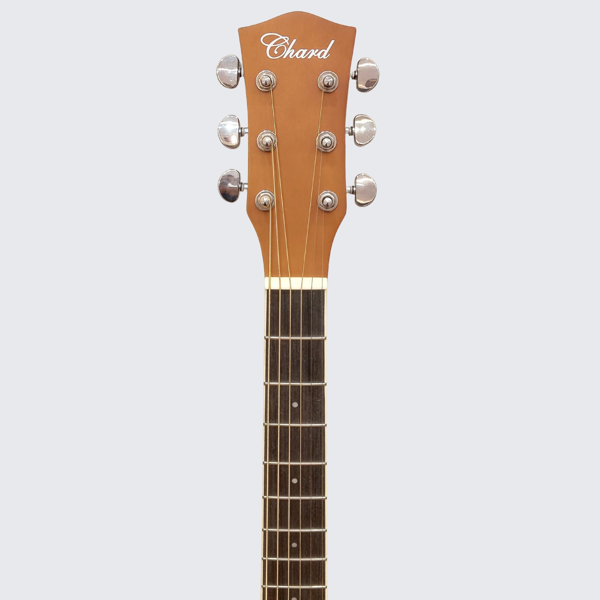 Chard ED-15 Semi-Acoustic Guitar – Sunburst