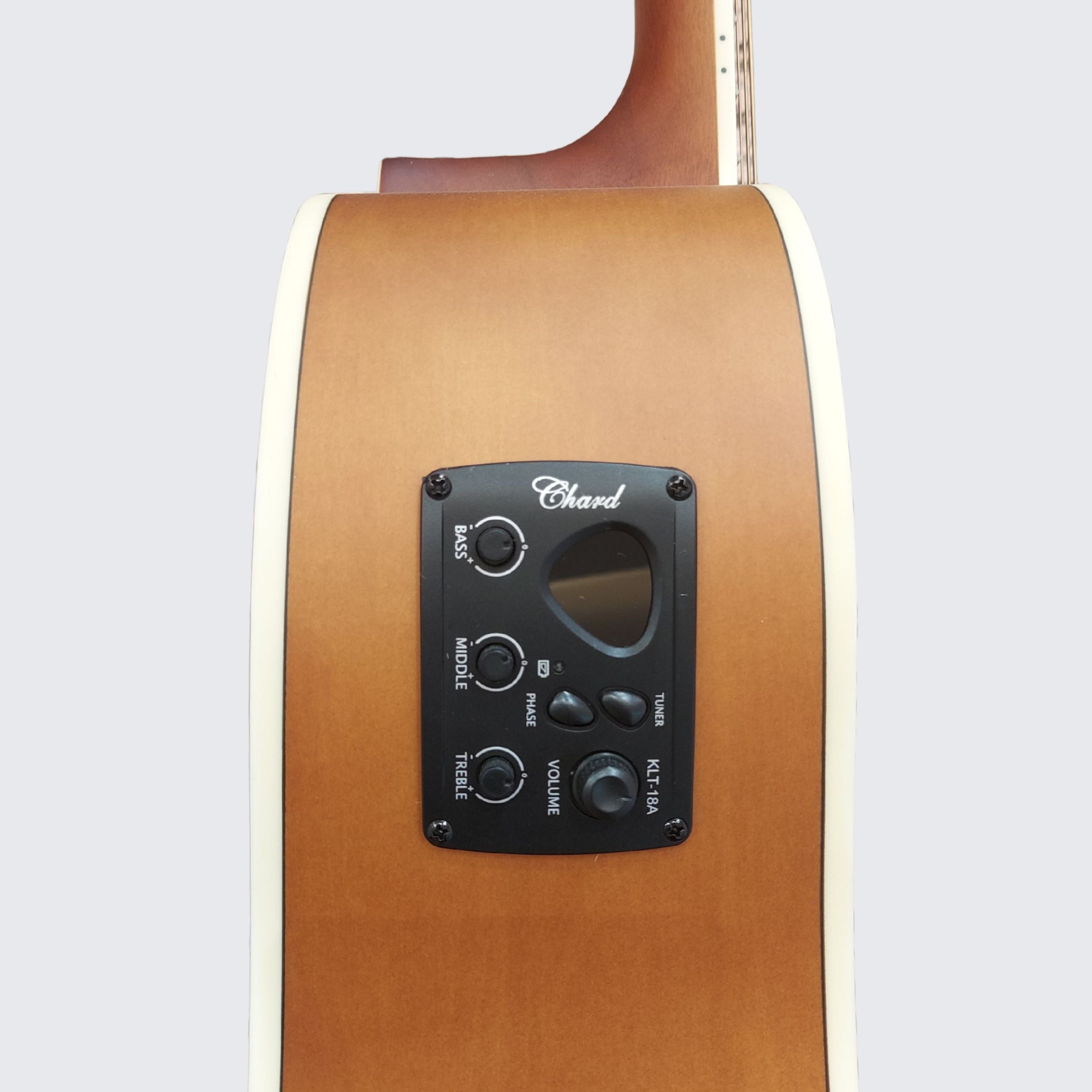 Chard ED-15 Semi-Acoustic Guitar – Sunburst