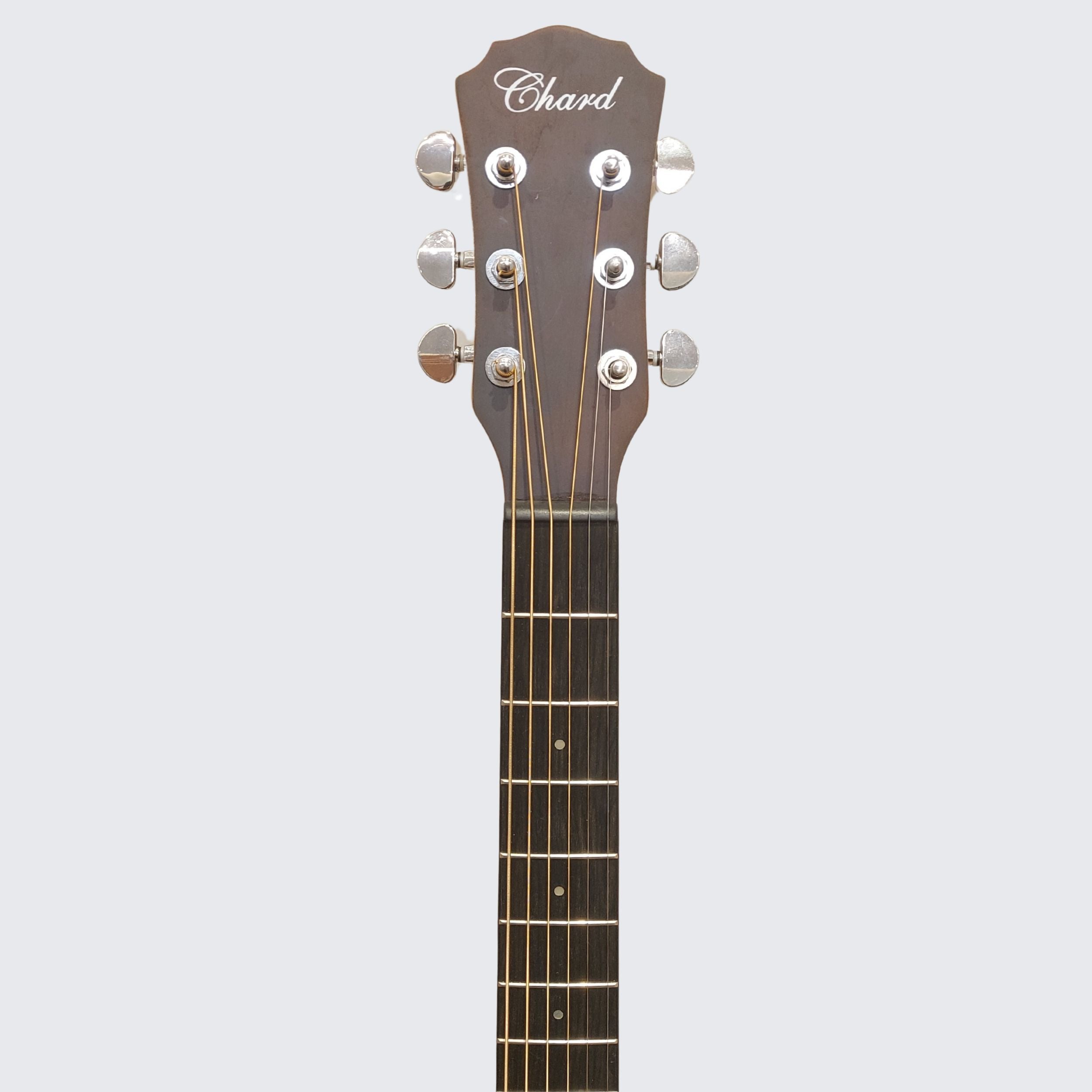 Chard WDED500 Semi-Acoustic Guitar - Natural Finish