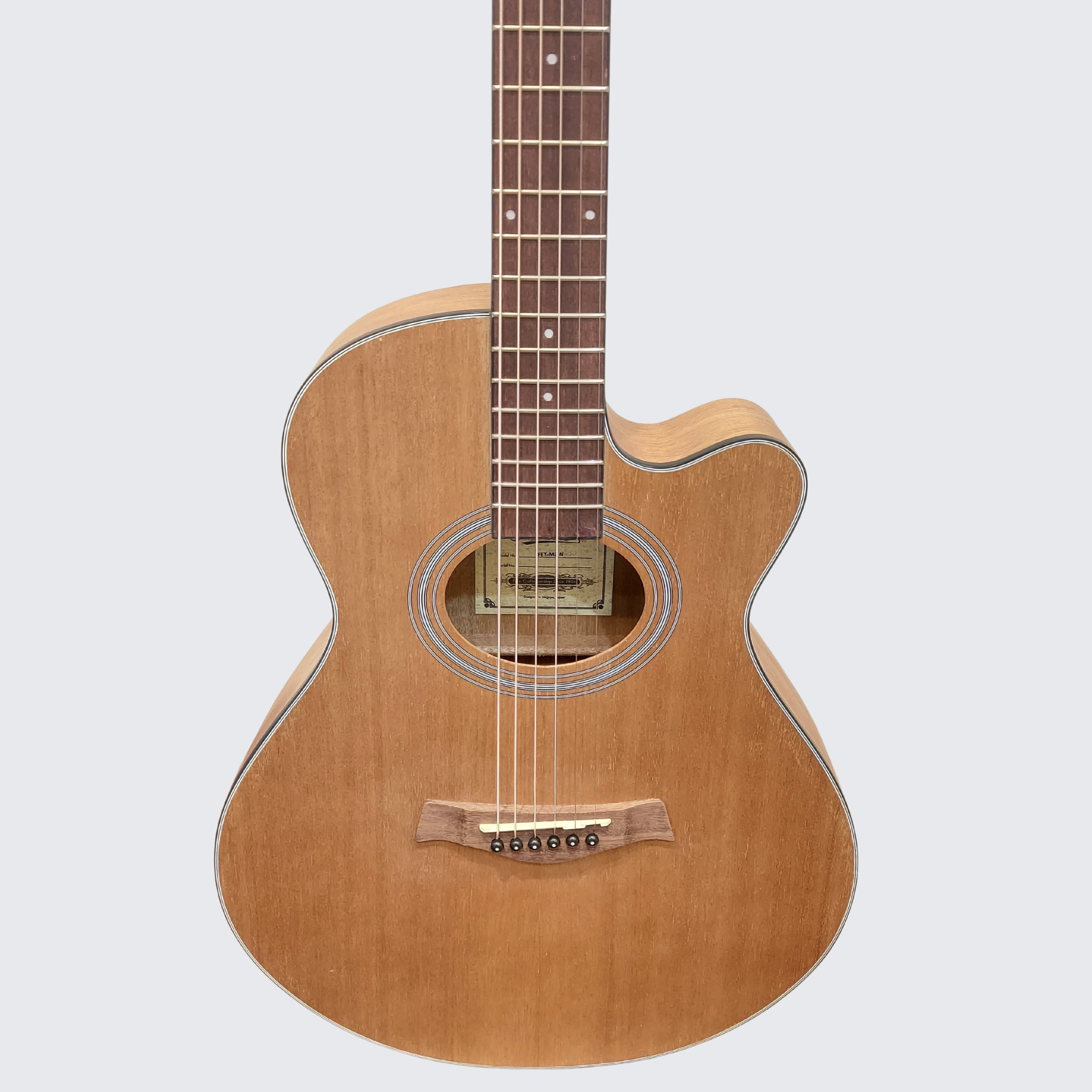 Aria FET M2 Acoustic Guitar