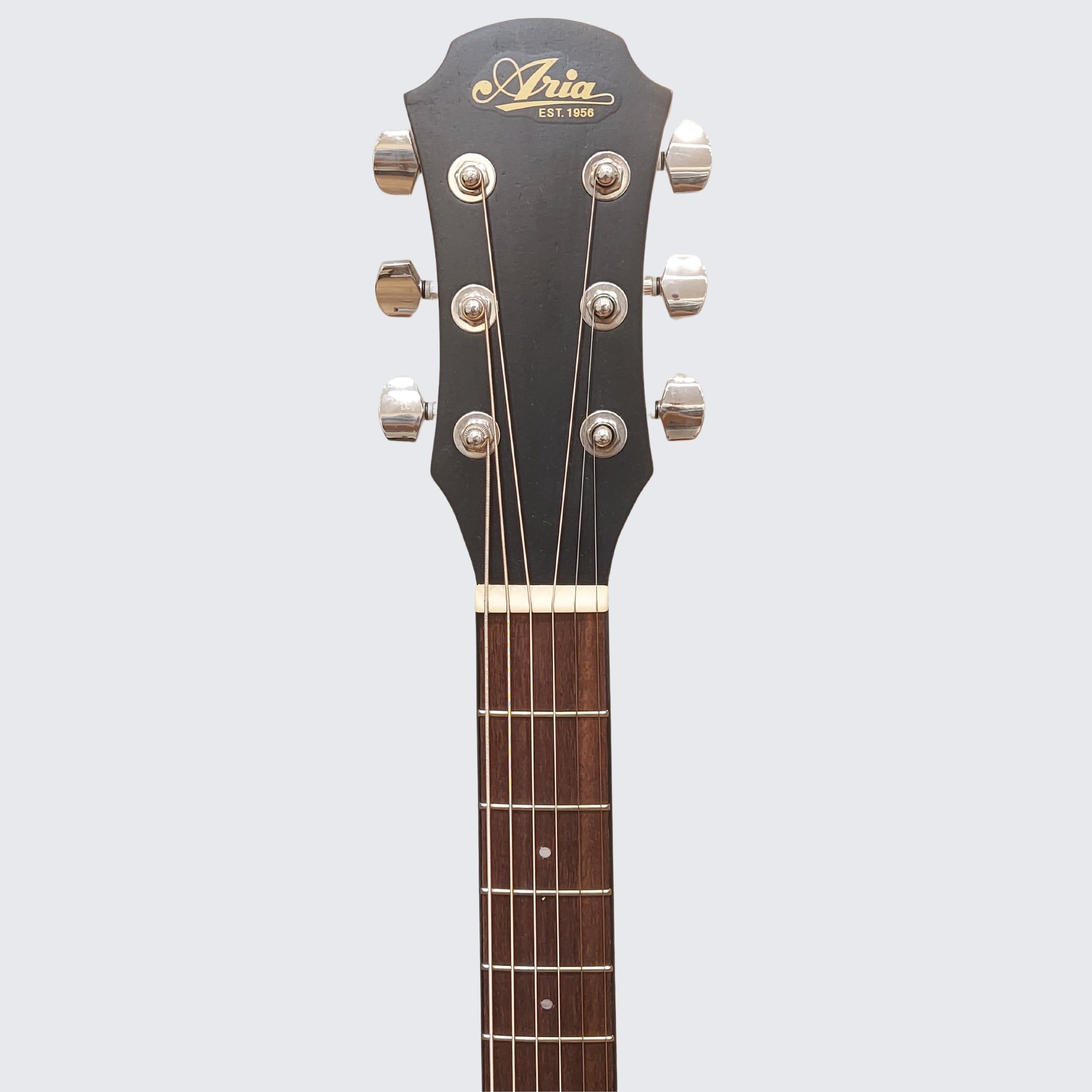 Aria FET M2 Acoustic Guitar