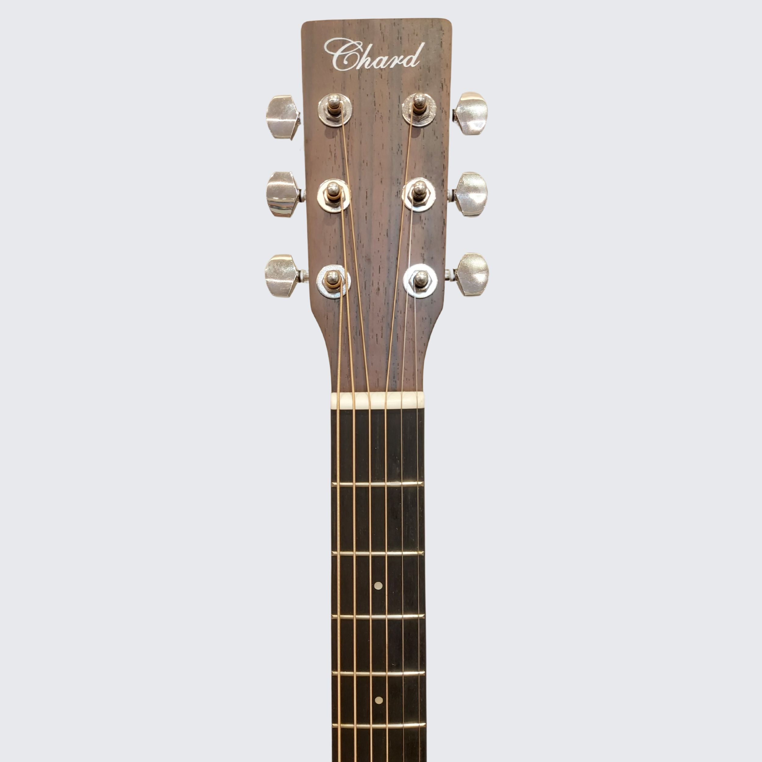 Chard EA-41 Acoustic Guitar