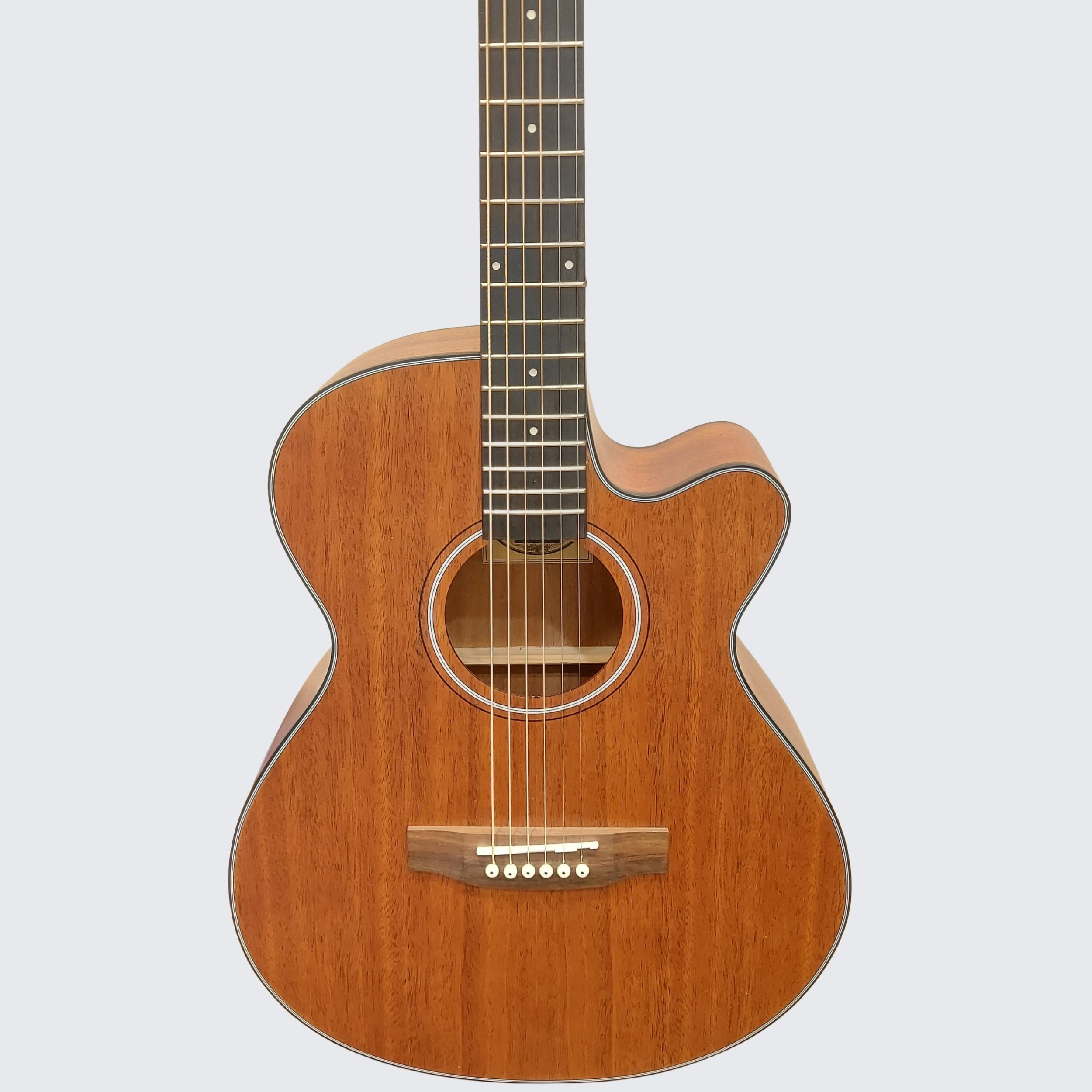 Chard EA-41 Acoustic Guitar